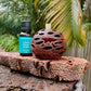 Banksia Aroma Pod & Essential Oil STAND