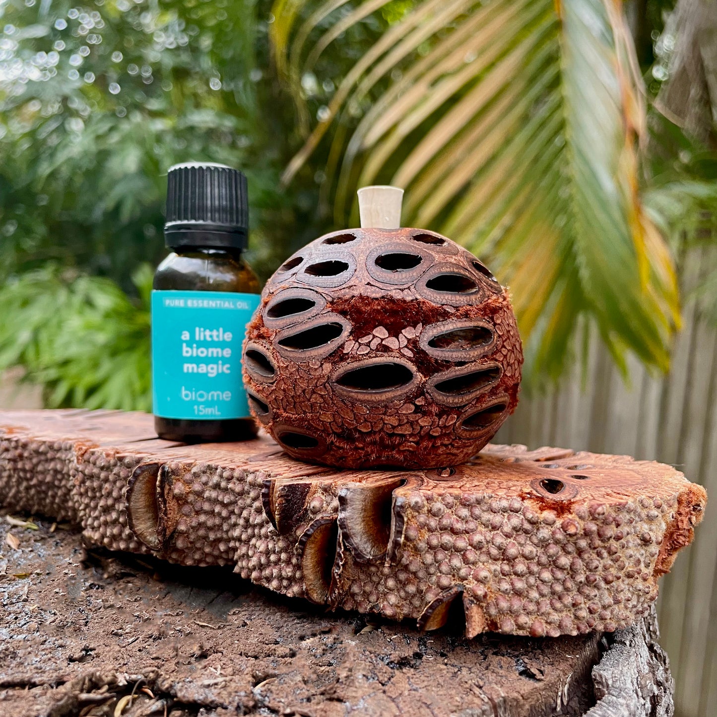 Banksia Aroma Pod & Essential Oil STAND