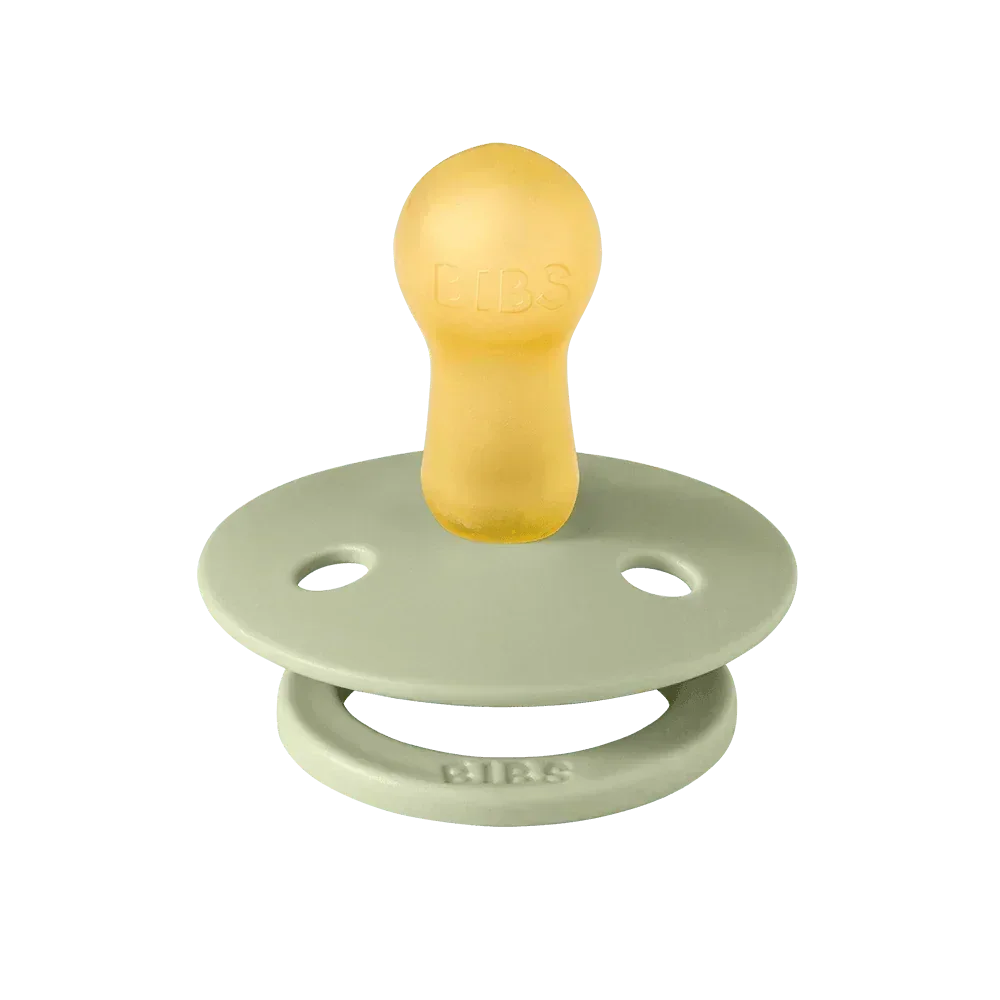 Bibs Round Natural Dummy Pacifier - Urban Garden - Ladybug Sage Mix