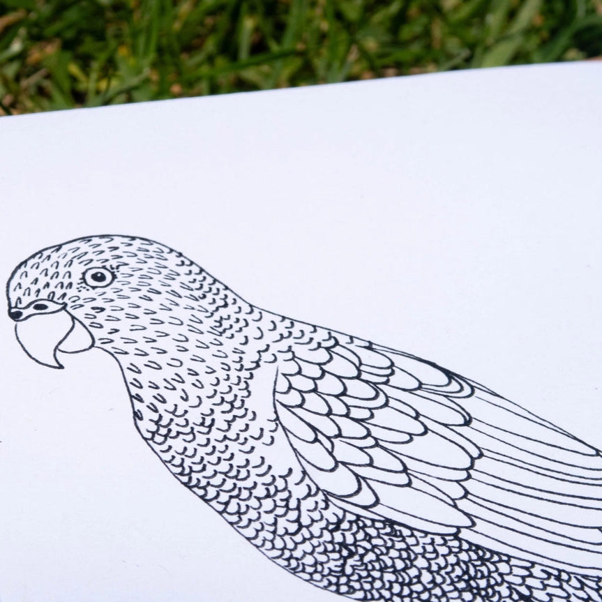 Sunshine Sea Art Activity Book - Aussie