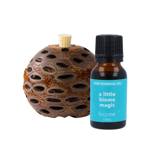 Biome Magic Natural Room Scent Bundle