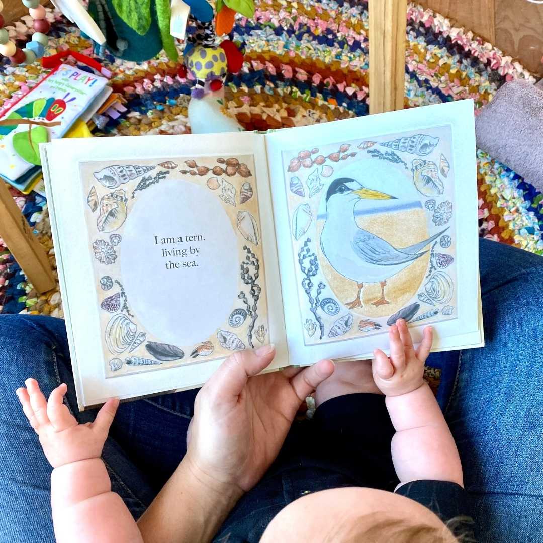 Bridget Farmer Book - I am a Magpie, I am a Currawong