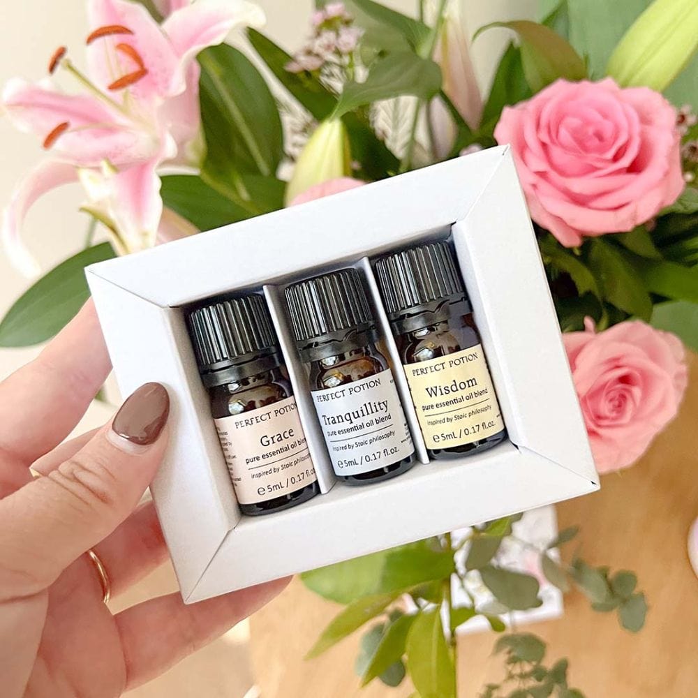 Buy Perfect Potion Stoic Collection Essential Oil Trio Online