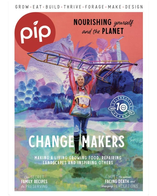 Eco-friendly environmental magazines