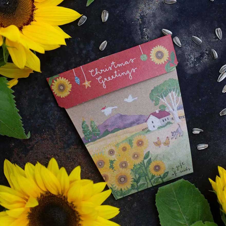 Sow 'n Sow Gift of Seeds Christmas Card - Sunflower Christmas Greetings