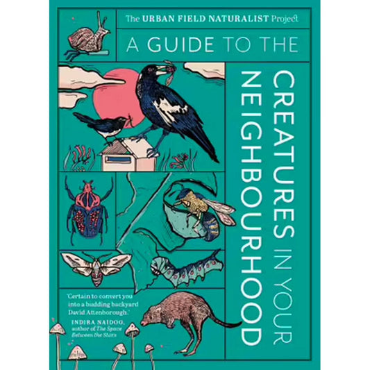 A Guide To The Creatures In Your Neighbourhood