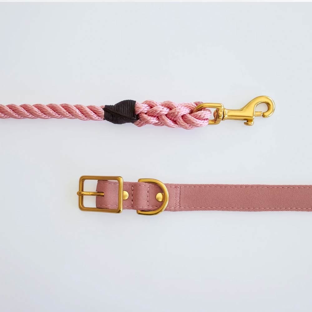 Animals In Charge All Weather Dog Collar - Dusty Pink Brass