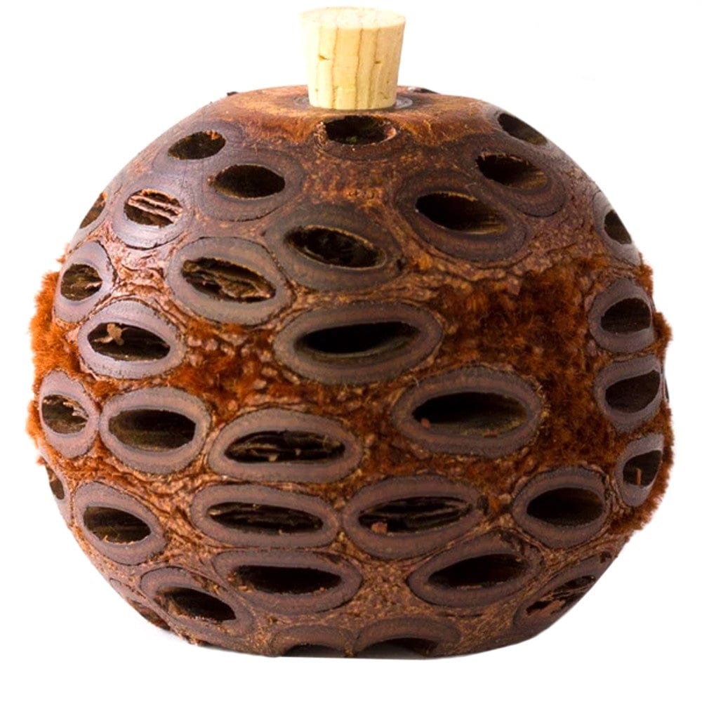 Banksia Aroma Pod Essential Oil Diffuser image 1