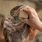 Beauty & the Bees Shampoo Bar - Hemp & Honey