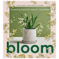 Bloom: Flowering Plants for Indoors and Balconies