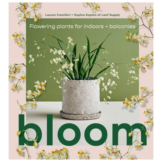 Bloom: Flowering Plants for Indoors and Balconies