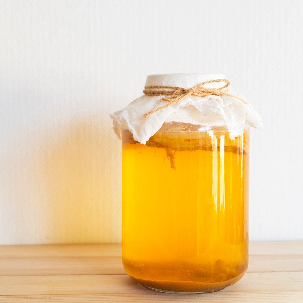 Buy Buchi Home Brew Kit Kombucha Online