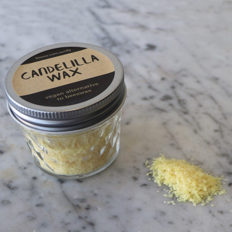 DIY Beeswax Wrap Recipe That Works!