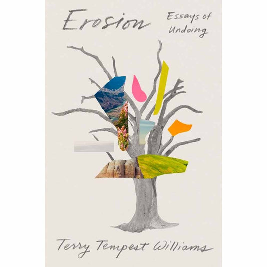 Erosion - Essays of Undoing