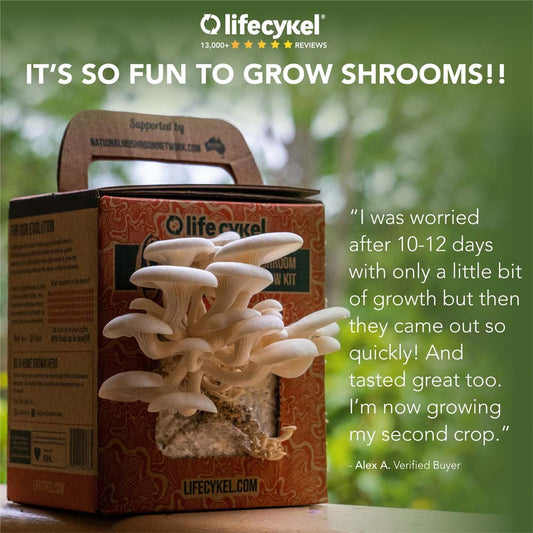 Grow Your Own Mushroom Box by Life Cykel