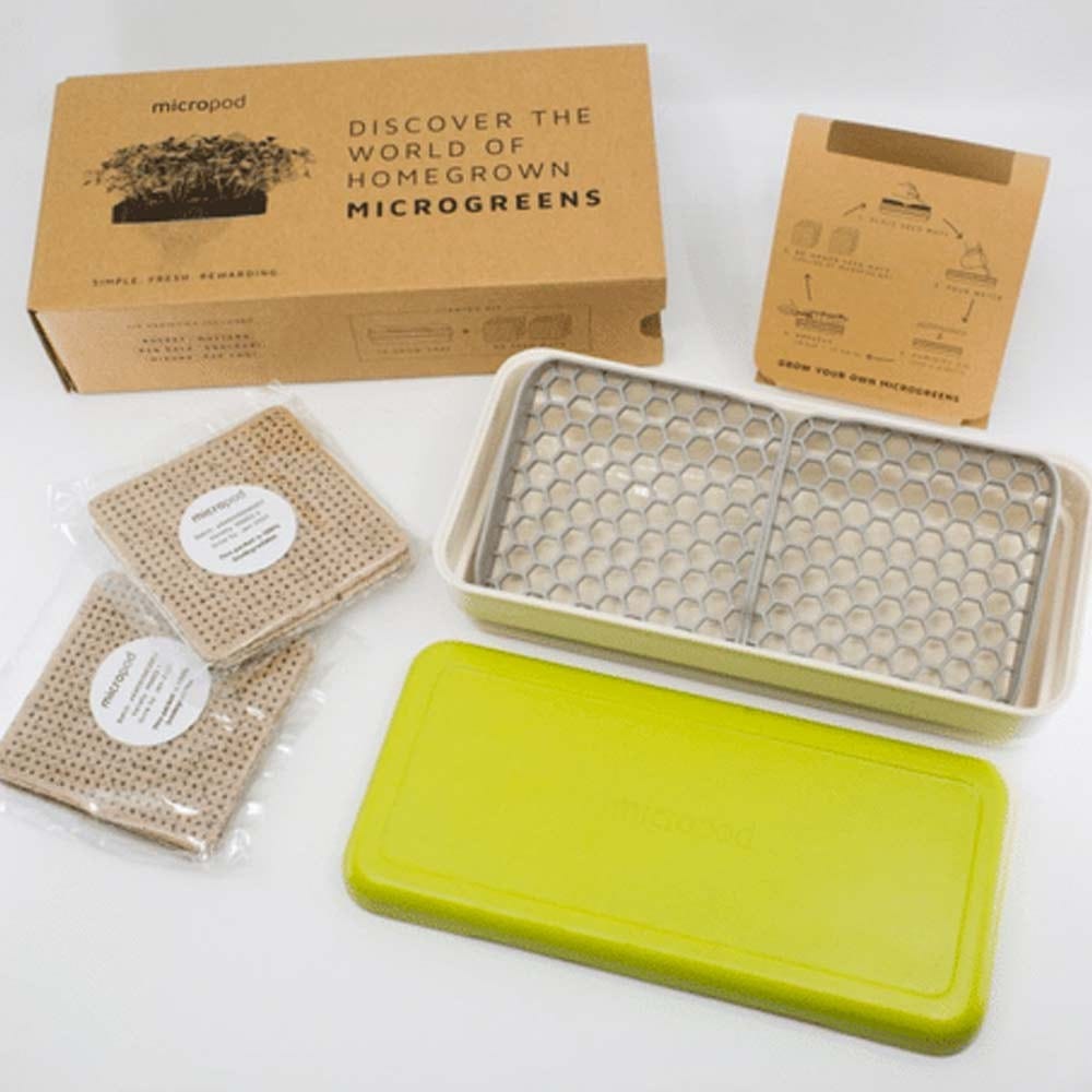 Micropod Microgreen Starter Kit - Charcoal