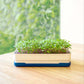 Micropod Microgreen Starter Kit - Stone