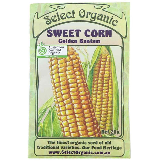 Select Organic - Golden Bantam Sweet Corn
