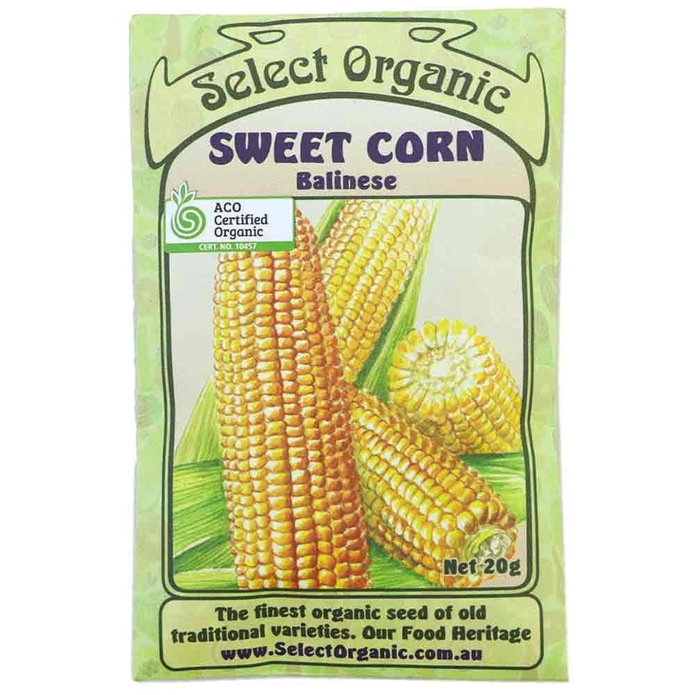 Select Organic Seeds - Balinese Sweet Corn