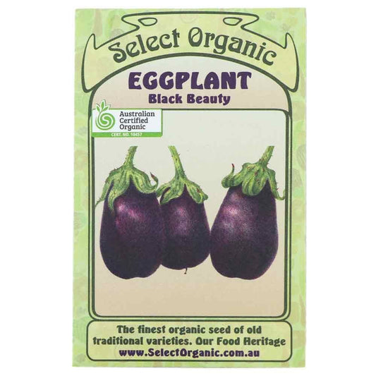 Select Organic Seeds - Black Beauty Eggplant