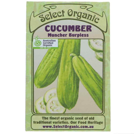 Select Organic Seeds - Muncher Burpless Cucumber