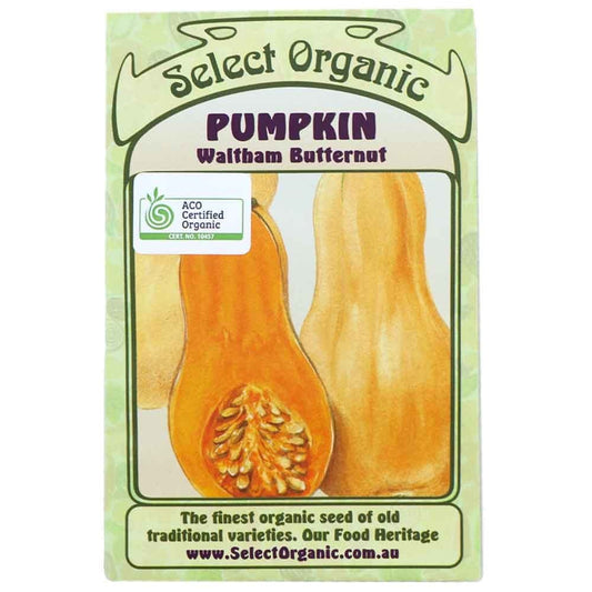 Select Organic Seeds - Waltham Butternut Pumpkin