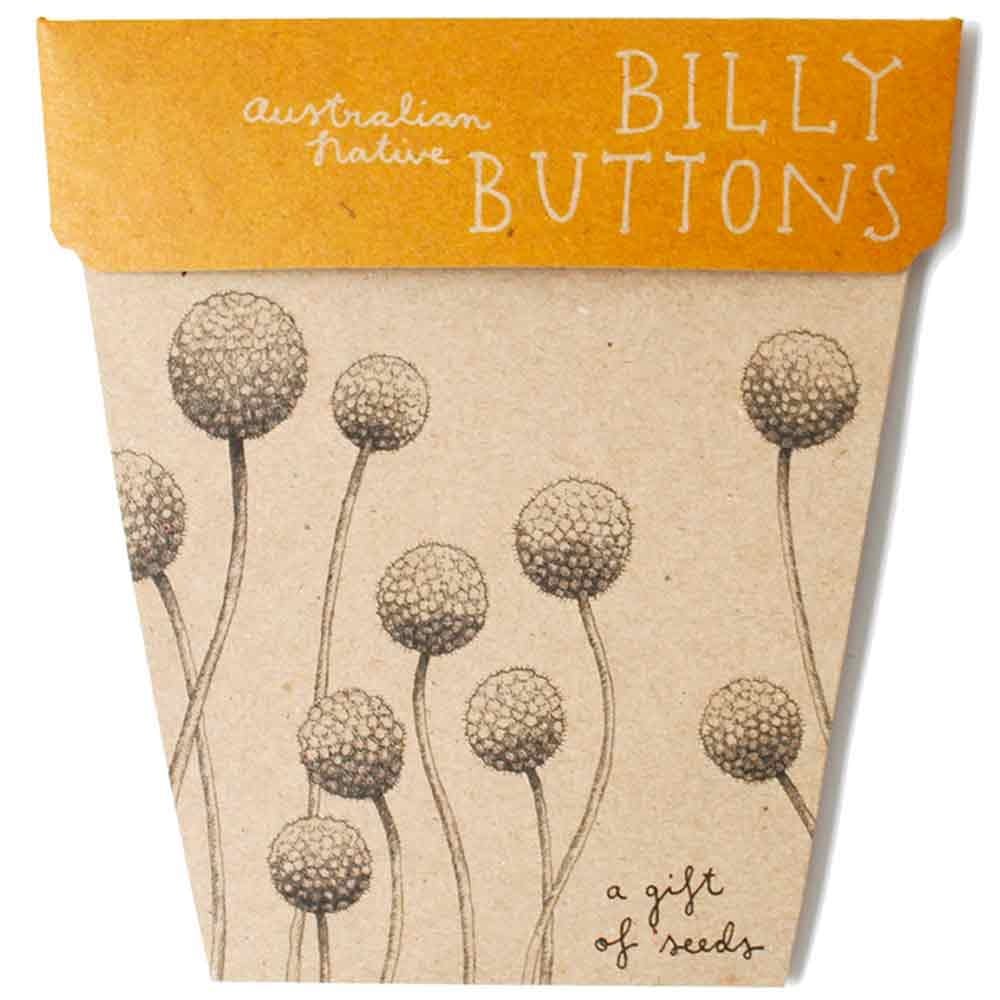Sow 'n Sow Gift of Seeds Greeting Card - Native Billy Buttons
