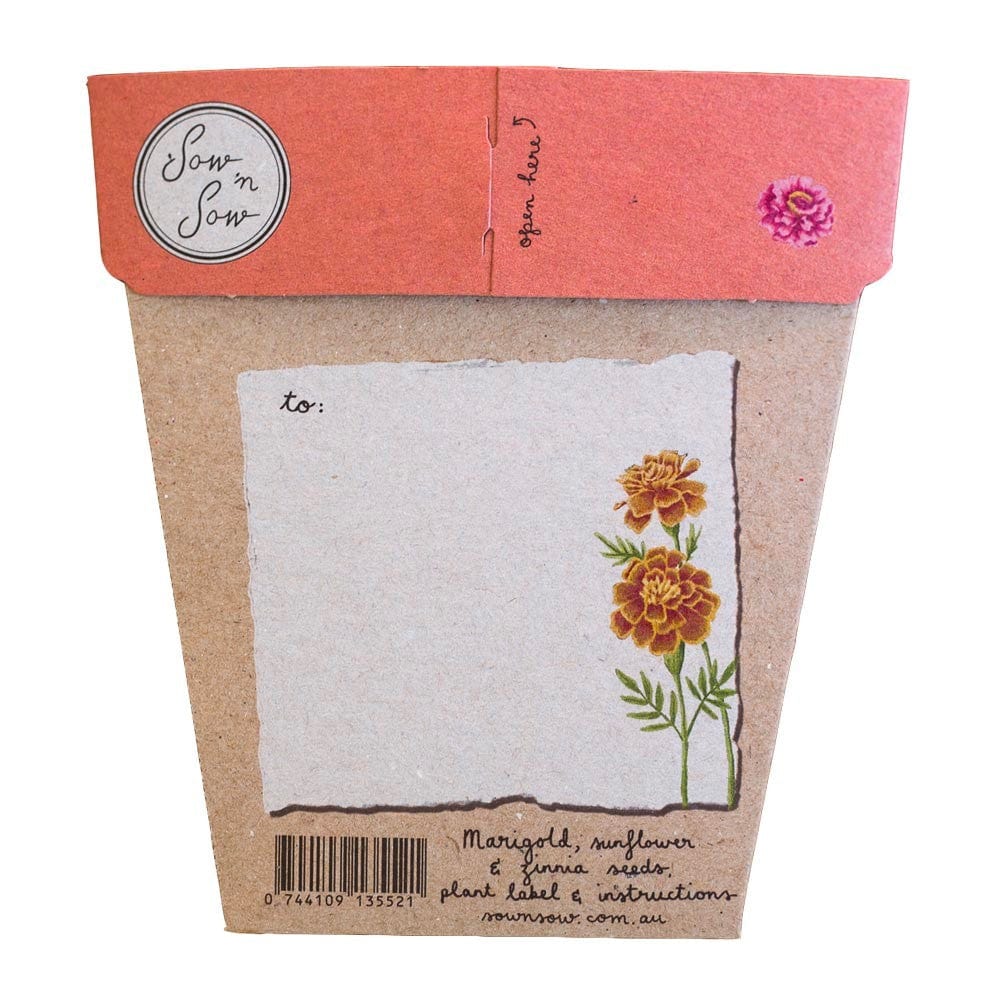 Sow 'n Sow Gift of Seeds Greeting Card - Secret Garden