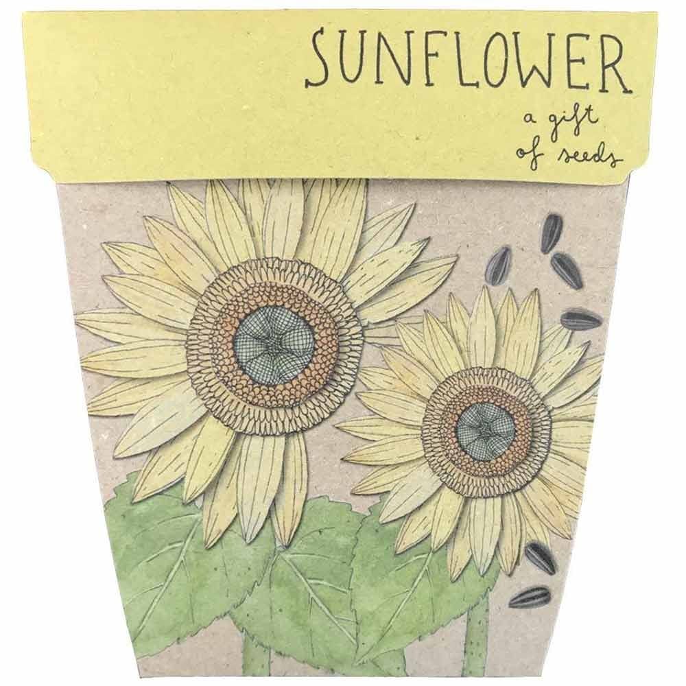 Sow 'n Sow Gift of Seeds Greeting Card - Sunflower