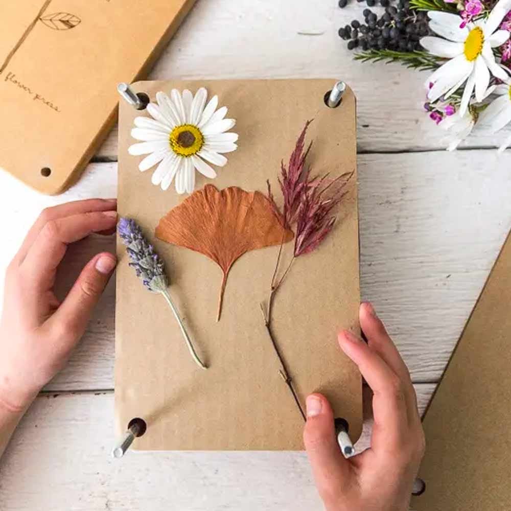 Buy Sow 'n Sow Large Flower Press Falling Online