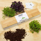 UrbanGreens Microgreens Windowsill Grow Kit