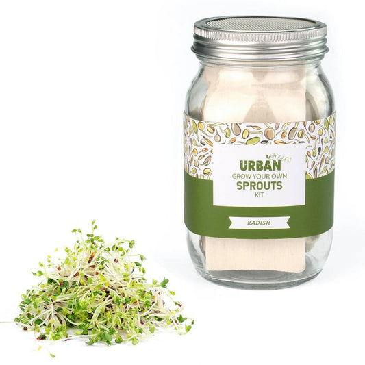 UrbanGreens Sprout Jar Kit - Radish